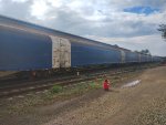 CPS FLT-034779-5